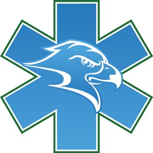 EMS logo only