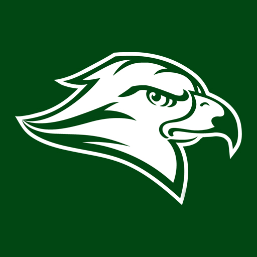 UCC Hawk Mascot