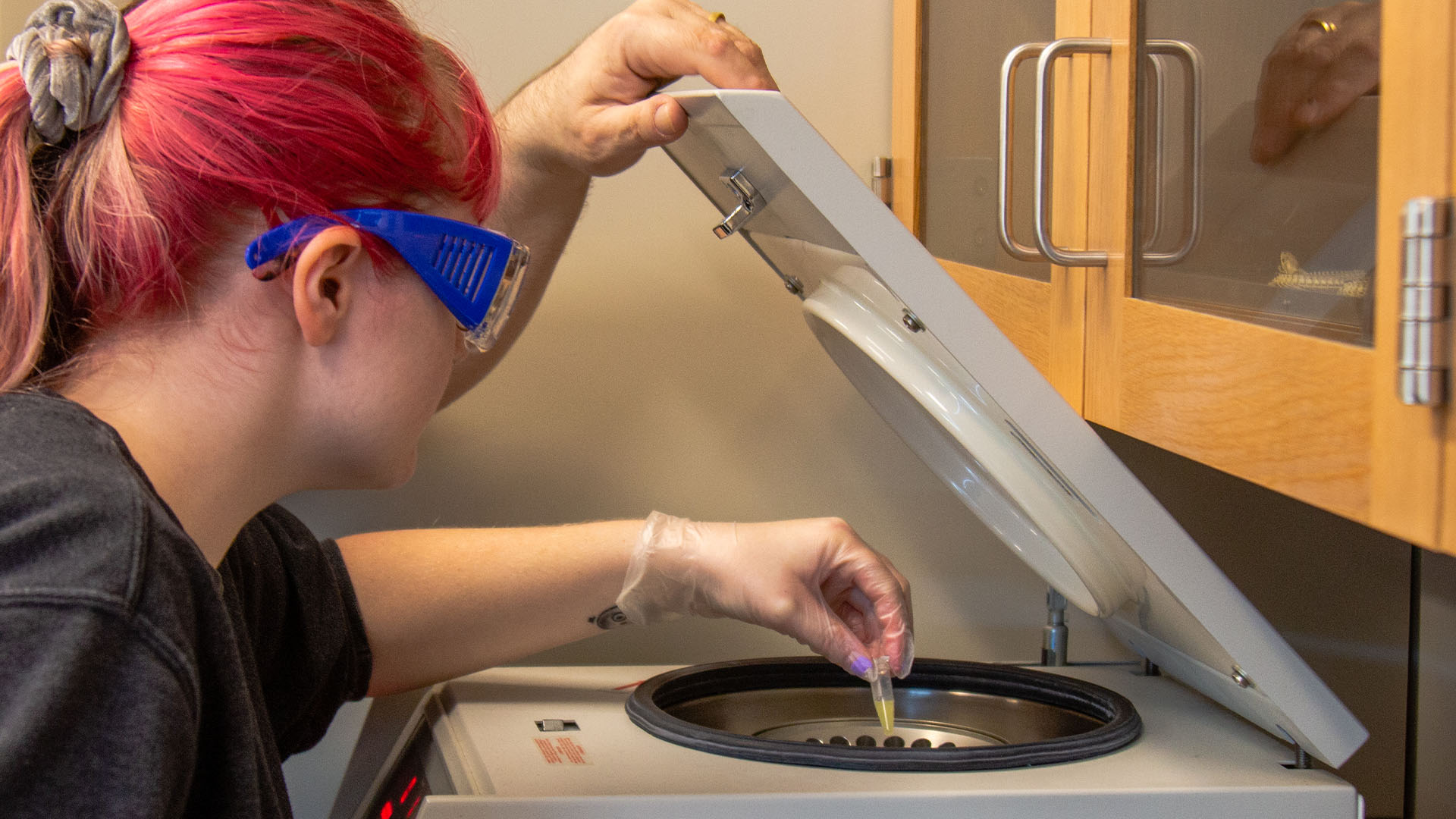 Biology at Umpqua Community College