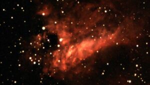 m1771217ps-edited-cropped-e28238411c-800x450