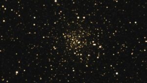 m7171416-bd79b418df-800x450