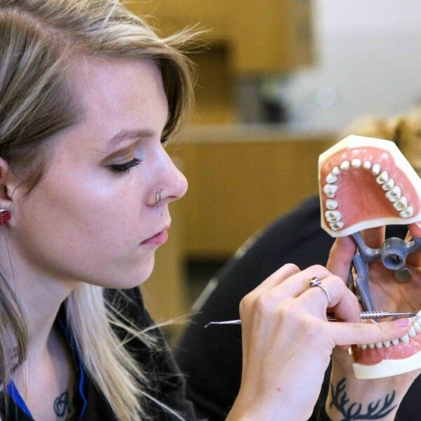 Dental assistant
